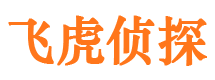 扶沟私家侦探